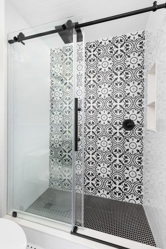 Sleek Black Framed Shower Door